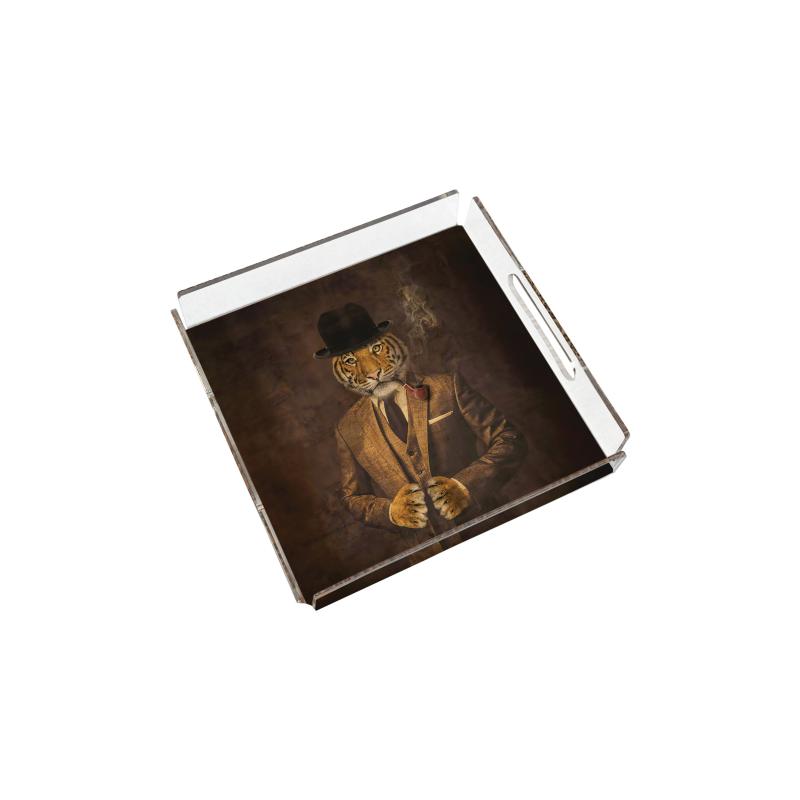 The Bold Visionary: Mr. Tiger Plexy Tray
